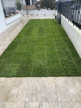 Filipe jardinagem - Trofa - Baumpflanzung