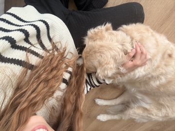Rafaela.petsitter - Vila Franca de Xira - Hundetagesstätte (Hundesitter)