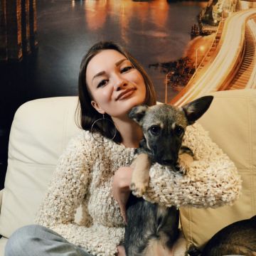 Polina Love Dogs - Porto - Cuidados para Animais de Estimação