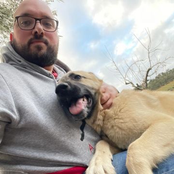 Ricardo Cruz - Sintra - Pet Sitting