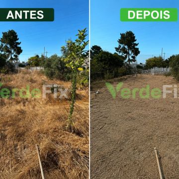 VerdeFix - Seixal - Baumpflege