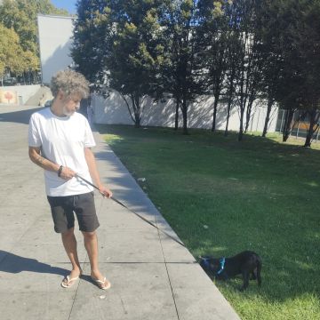 Micael silva - Porto - Treino de Cães