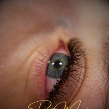 Diana Mendes - Ansião - Micropigmentation