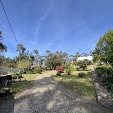 Rui - Vila do Conde - Gartenarbeit