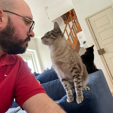 Ricardo Cruz - Sintra - Pet Sitting and Walking