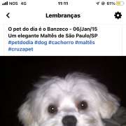Graziela Preisegalavicius - Gondomar - Property Cleanup