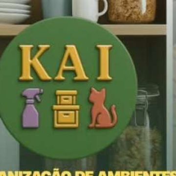 KAI - limpezas • organização de ambientes • pet sitting - Torres Novas - Grundreinigung oder Frühjahrsputz