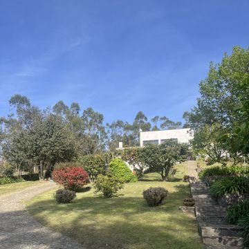 Rui - Vila do Conde - Rasenmähen und Schneiden (einmalig)