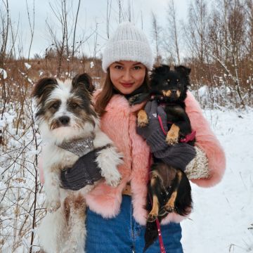 Polina Love Dogs - Porto - Creche para Cães