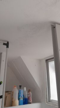 Redecoration - Additions and Remodels