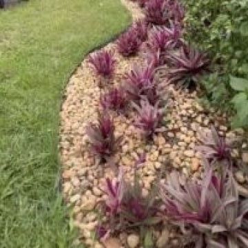 João providencia - Maia - Poda e Manutenção de Árvores