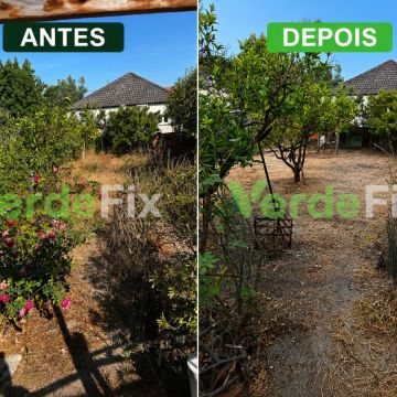 VerdeFix - Seixal - Baumstumpf oder -wurzel wegfräsen und entfernen