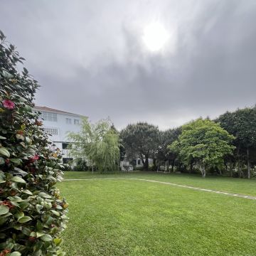 Rui - Vila do Conde - Unkraut jäten