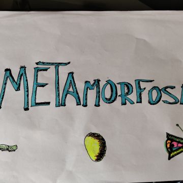 M.J. Matos - Porto - Remodelación de balcones