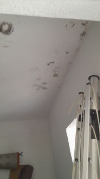 Redecoration Company - Home Improvements