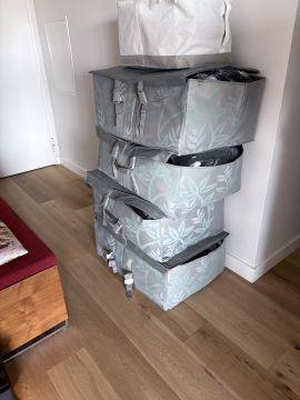 Property Cleanup Specialist