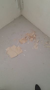 Redecoration - Additions and Remodels