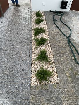 Filipe jardinagem - Trofa - Rasenmähen und Schneiden (einmalig)