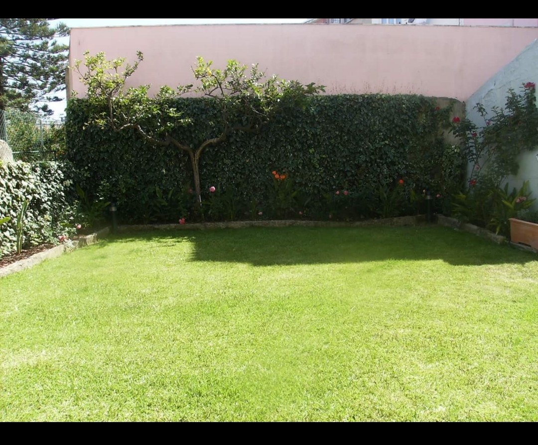 Dom Jardinagem - Loures - Tratamento de Relvado