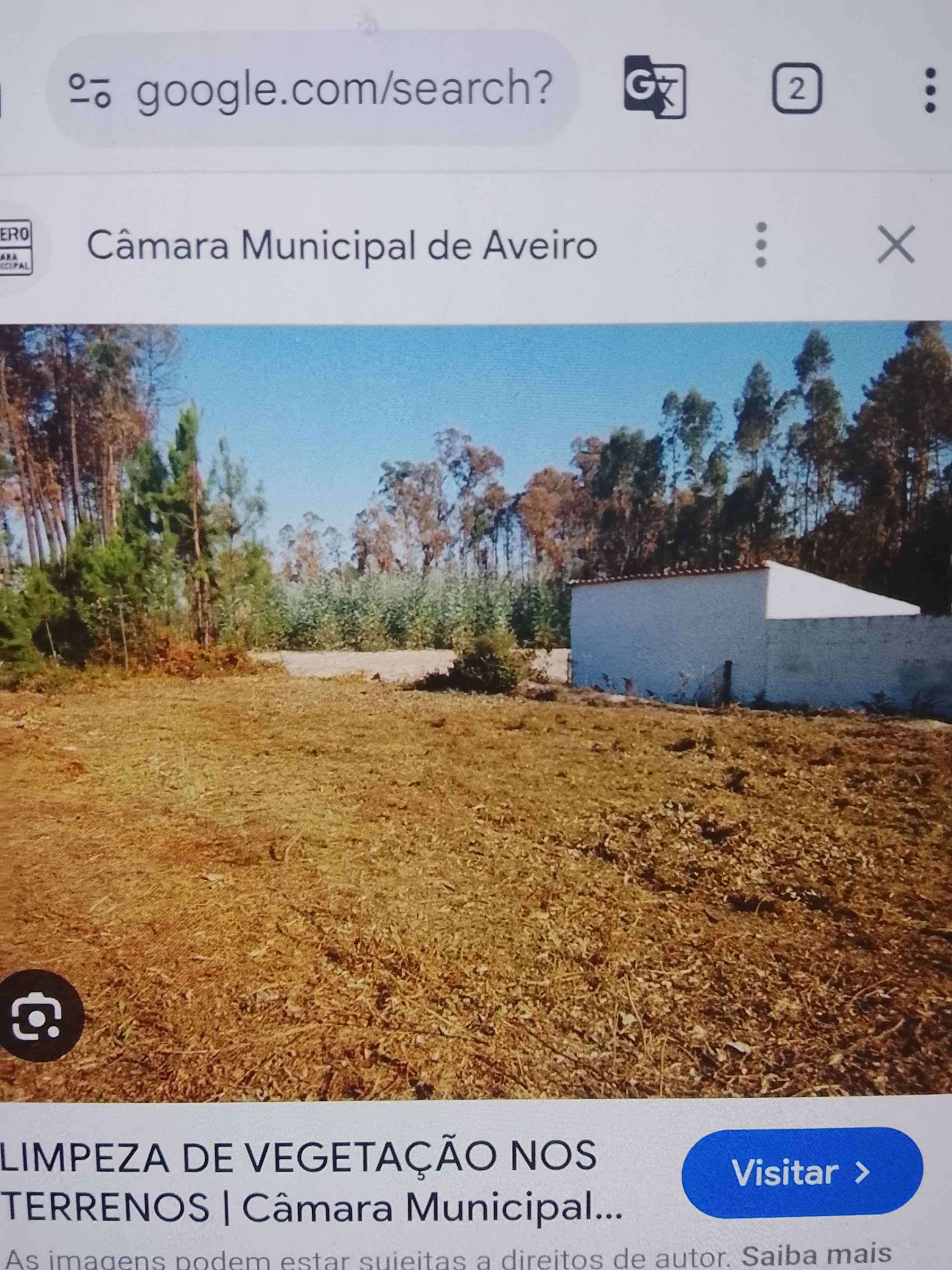 Francisco - Vila Nova de Famalicão - Remoção de Arbustos