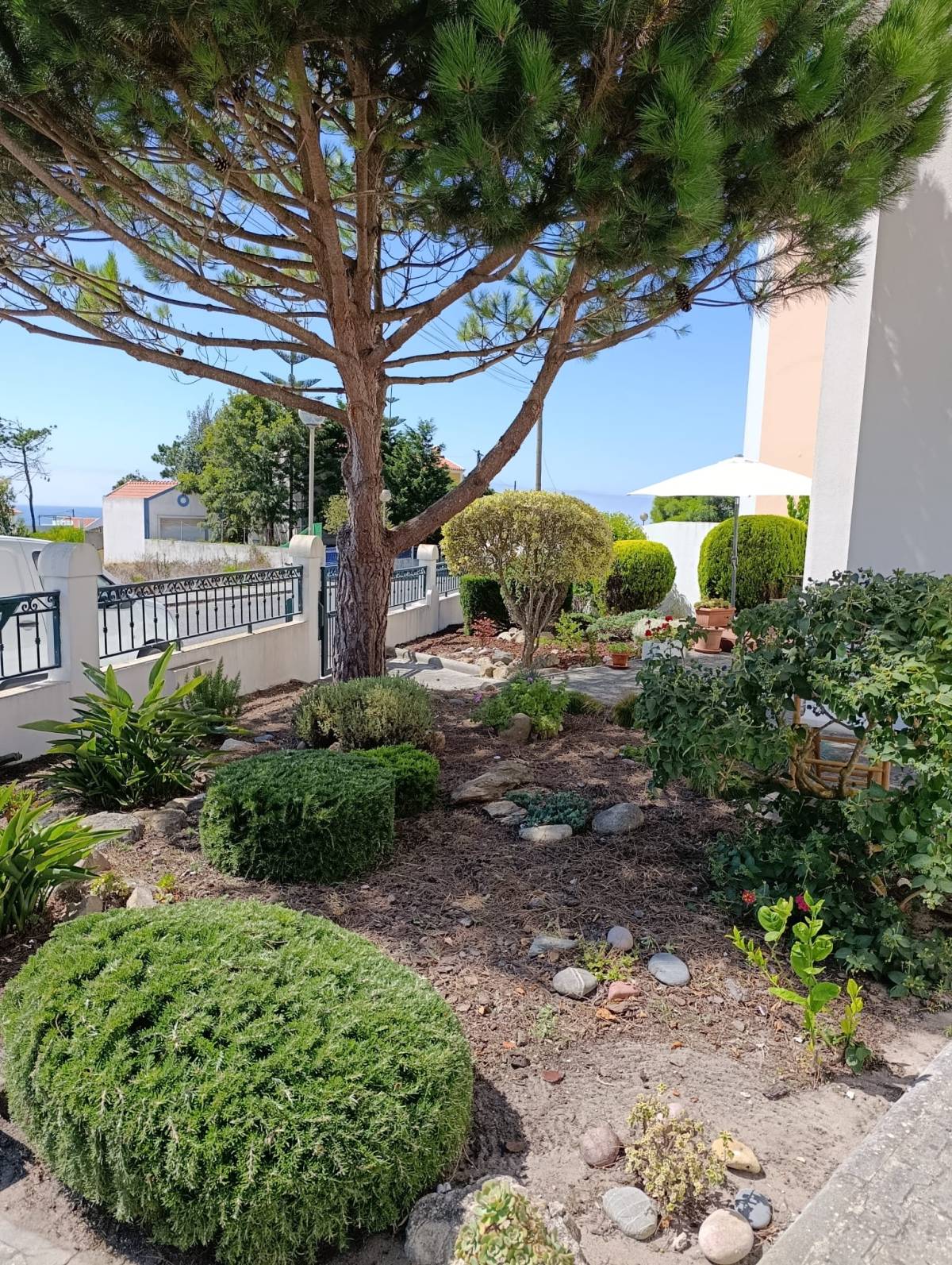 S&F Jardinagem 🌱🌿 - Torres Vedras - Instalación de sistemas de riego por goteo