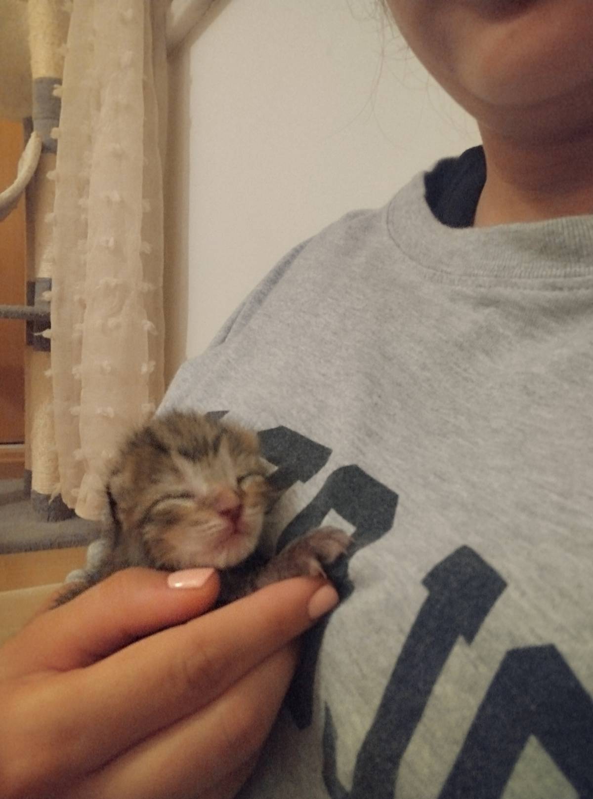 Maria Melo - Lisboa - Haushalt organisieren