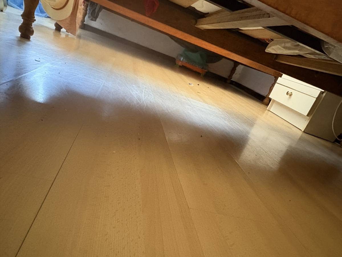 BarrosCleaning - Lagoa - Apartment Cleaning