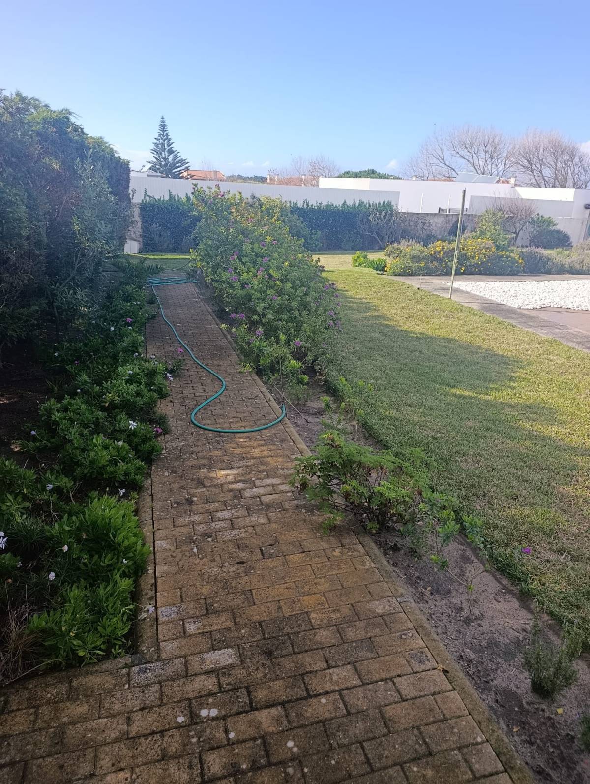 S&F Jardinagem 🌱🌿 - Torres Vedras - Instalación de césped
