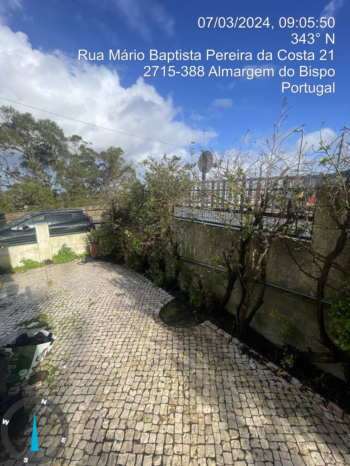 Raphael Giunco - Sintra - Tree Stump Grinding and Removal