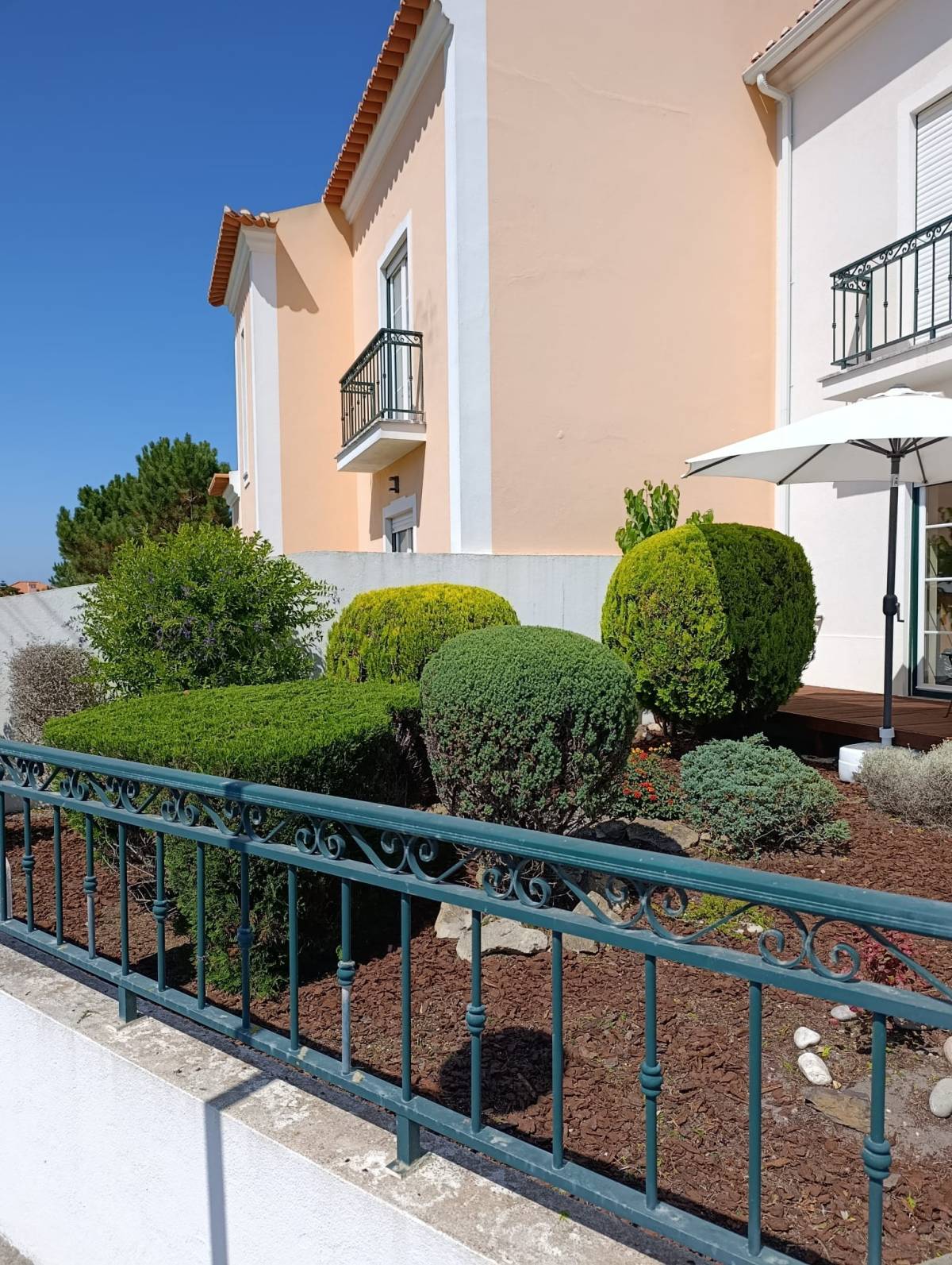 S&F Jardinagem 🌱🌿 - Torres Vedras - Mantenimiento del sistema de riego por goteo