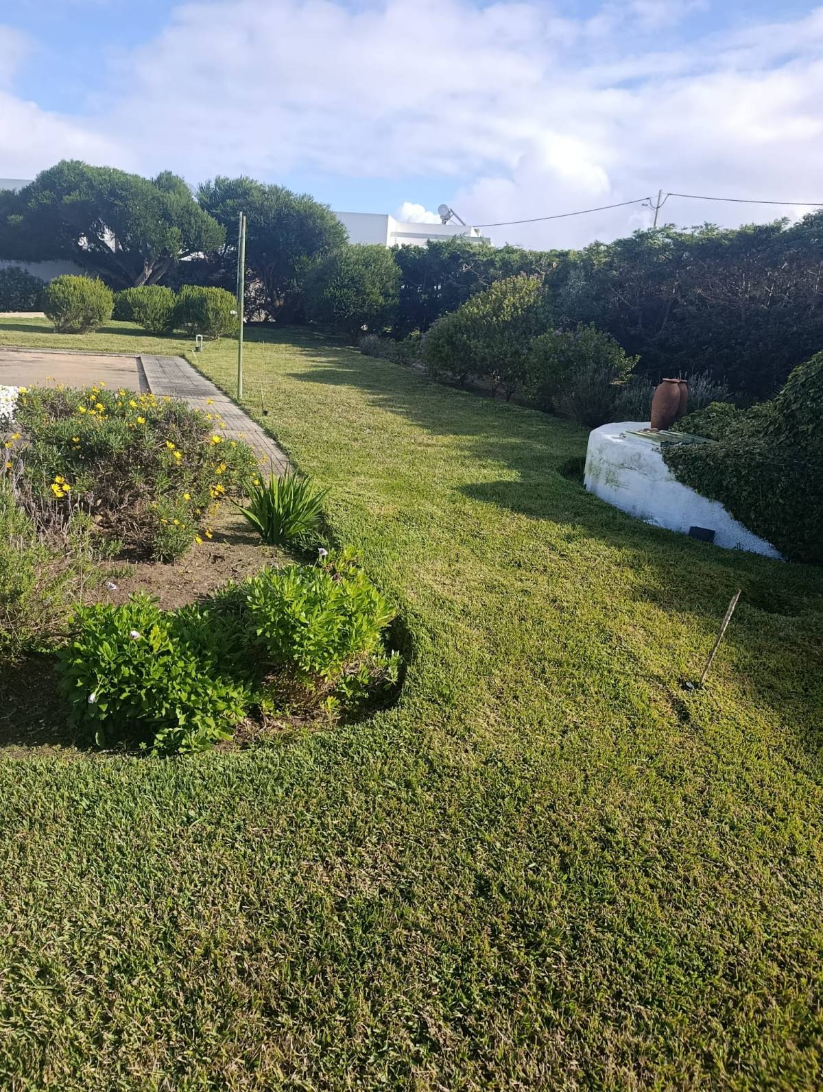 S&F Jardinagem 🌱🌿 - Torres Vedras - Multiservicios de cuidados del césped