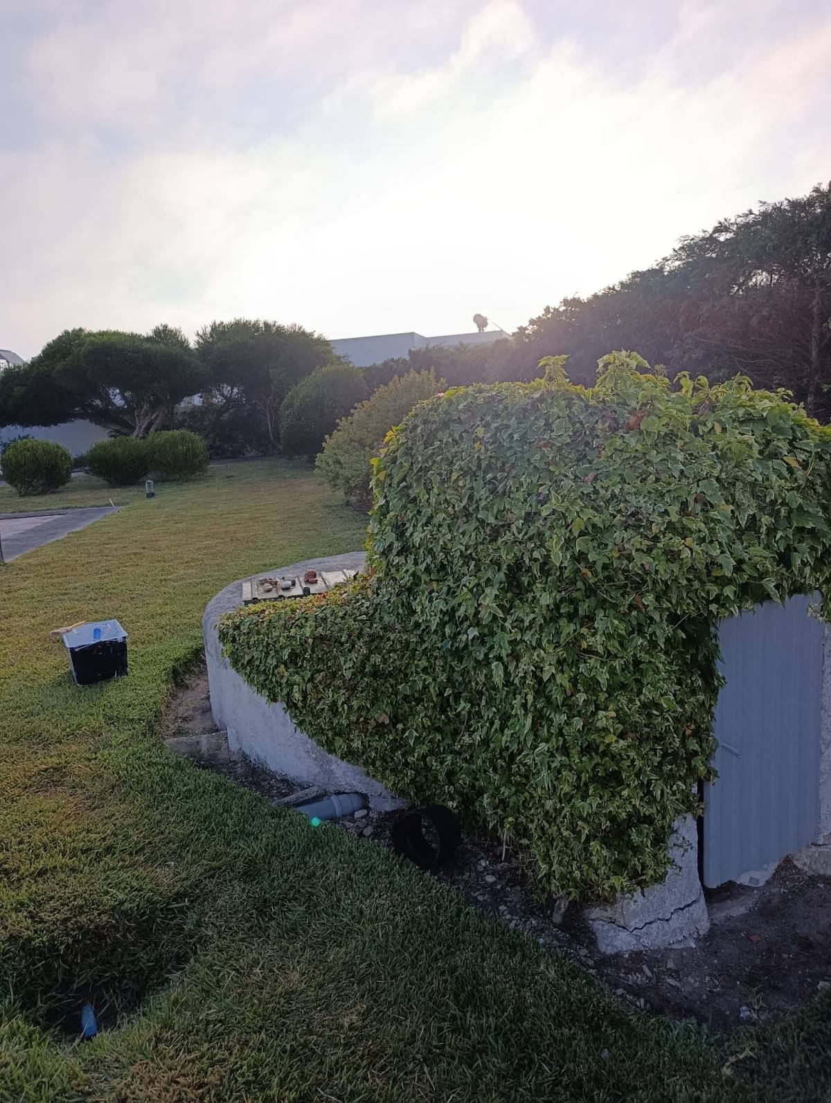 S&F Jardinagem 🌱🌿 - Torres Vedras - Jardinería