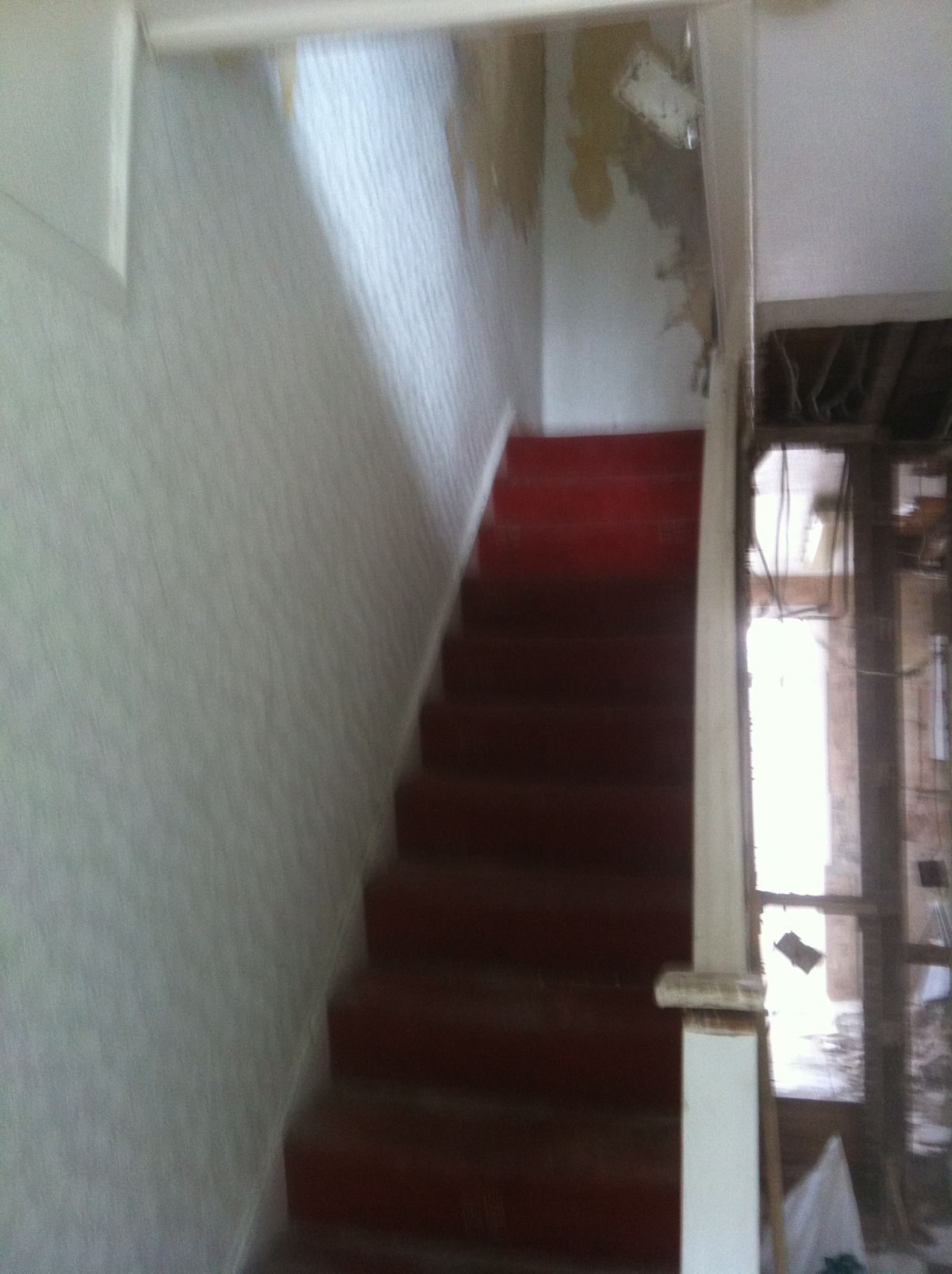 Carlos Diego Sifuente Rodrigues - Leiria - Floor Tiling
