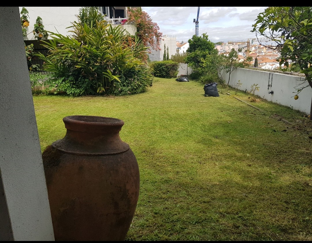 Dom Jardinagem - Loures - Remoção de Tronco de Árvore
