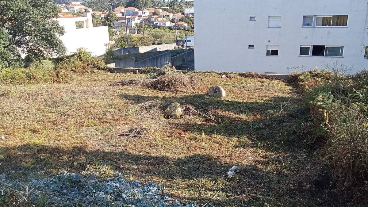 Especialista de Limpeza de Terrenos