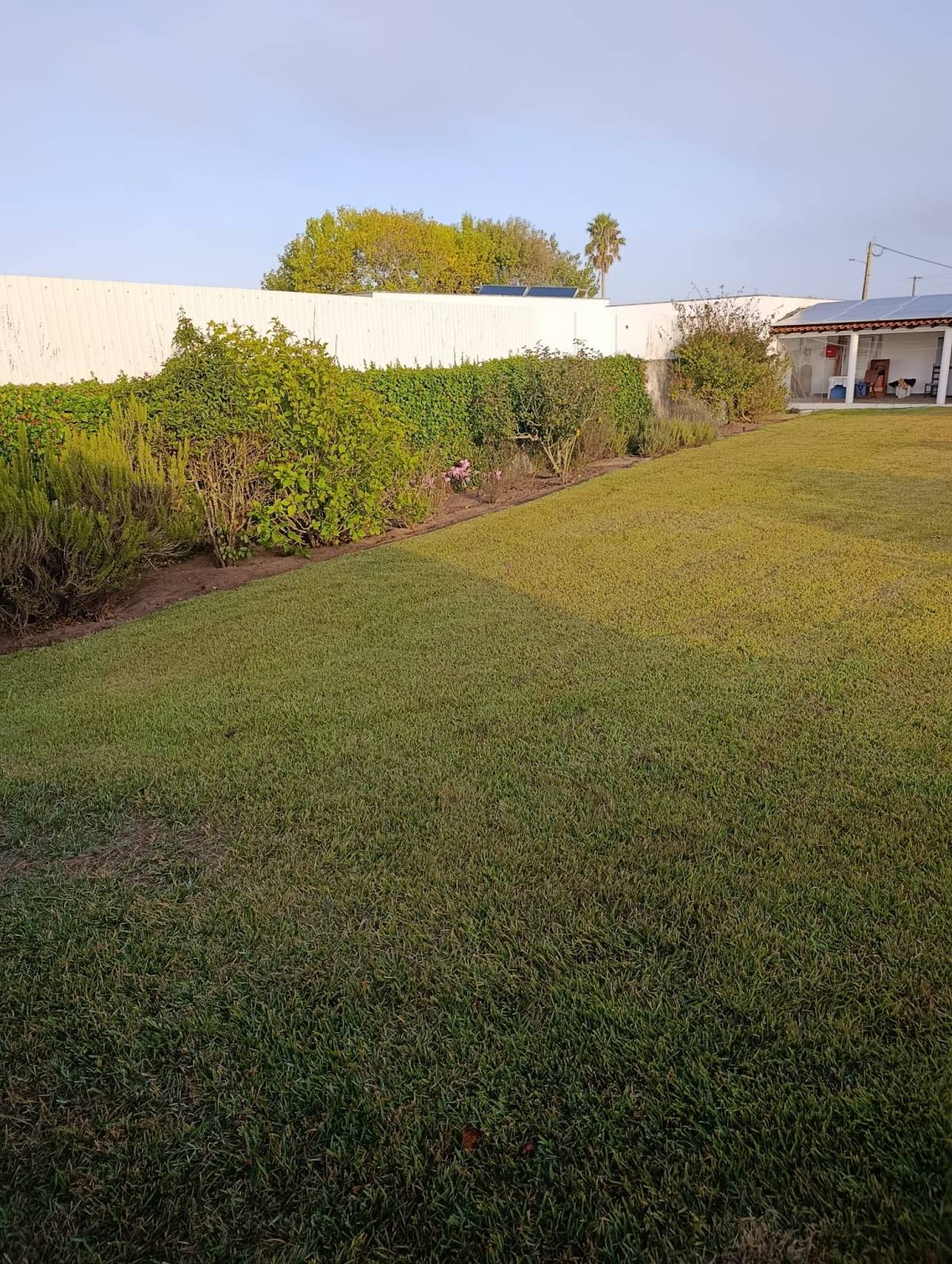 S&F Jardinagem 🌱🌿 - Torres Vedras - Nivelación y clasificación de tierras: a gran escala (más de 4000 m2)