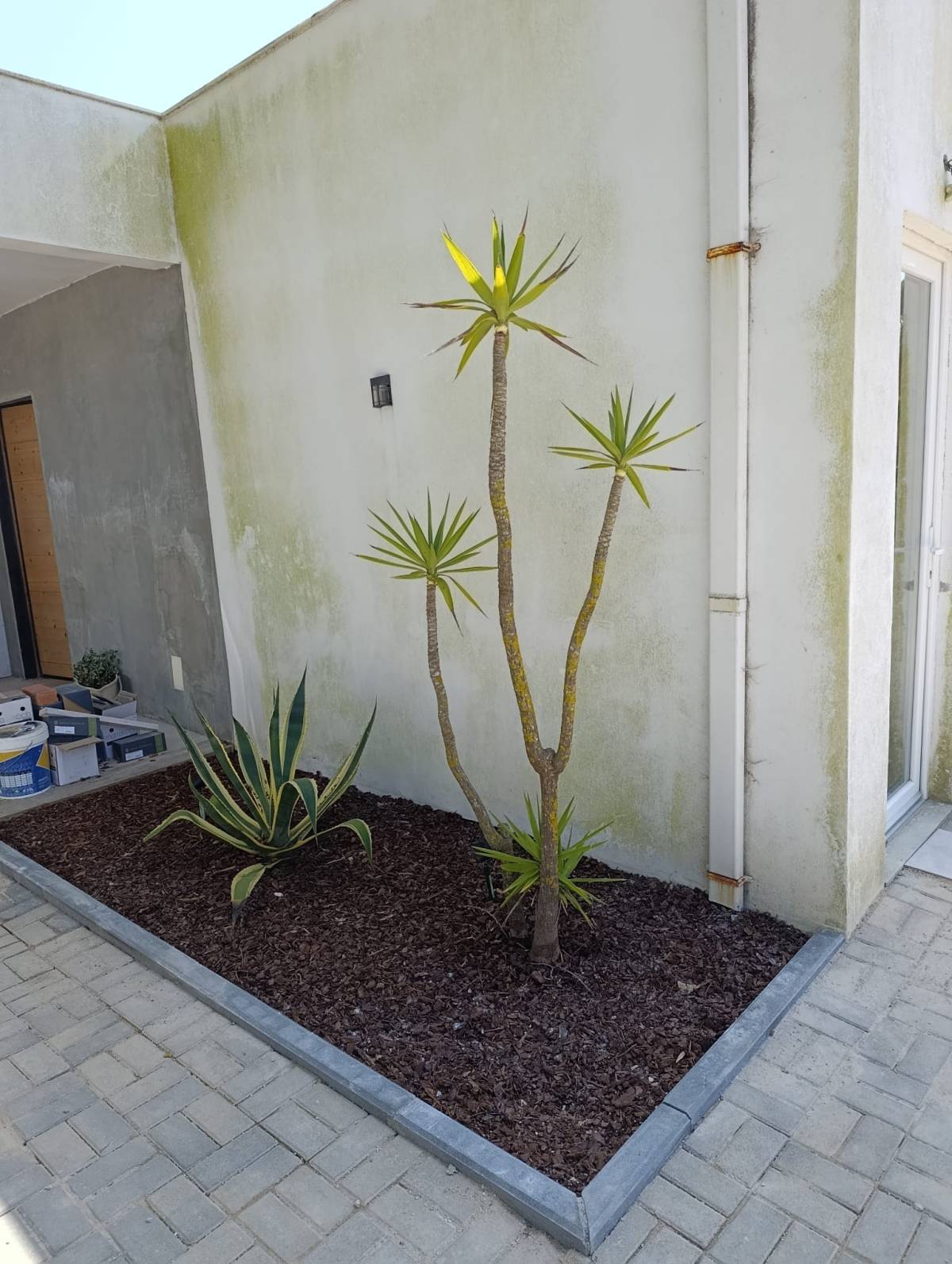 S&F Jardinagem 🌱🌿 - Torres Vedras - Paisajismo