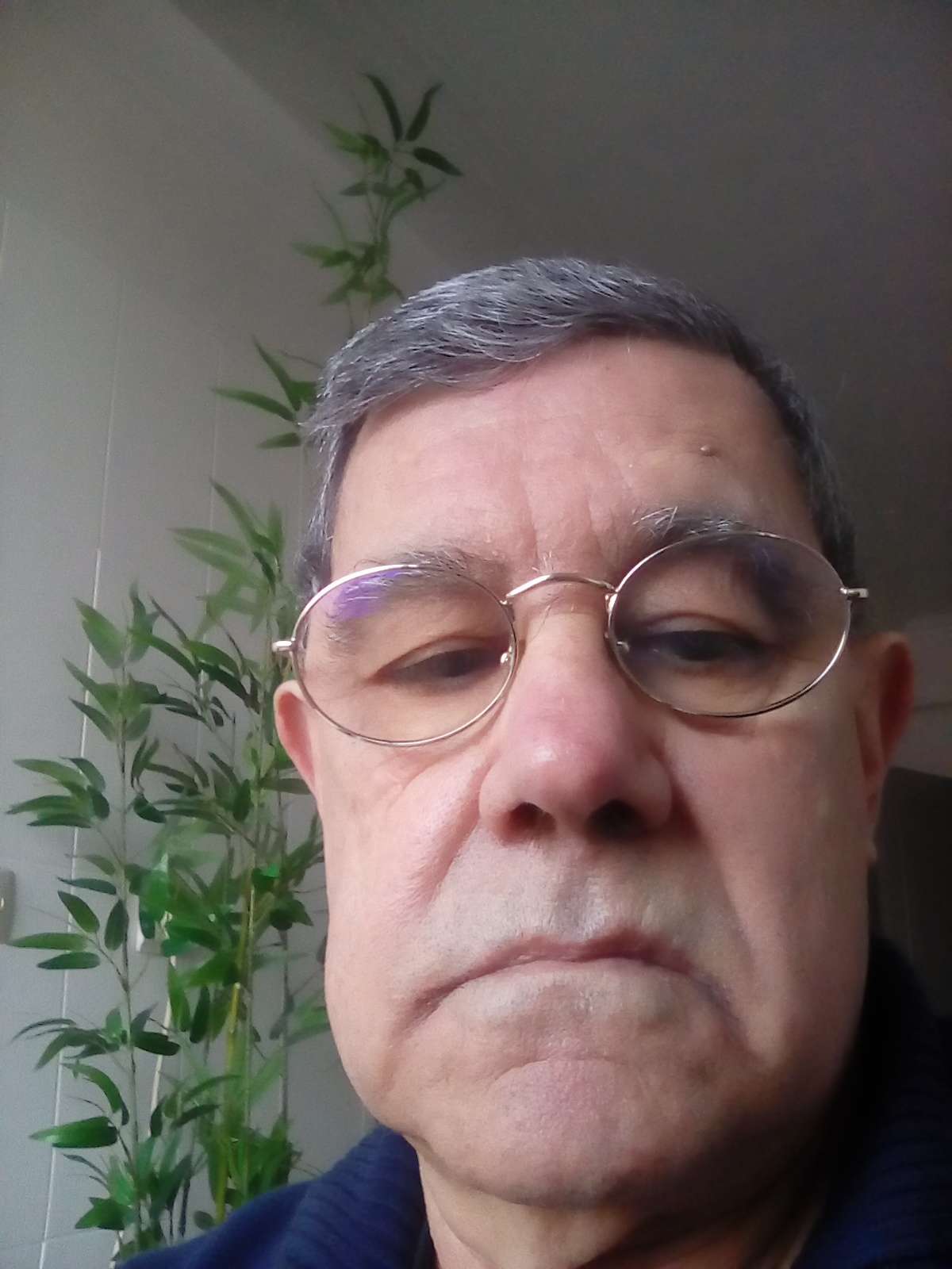 Carlos Garcia Domingos - Amadora - Accounting
