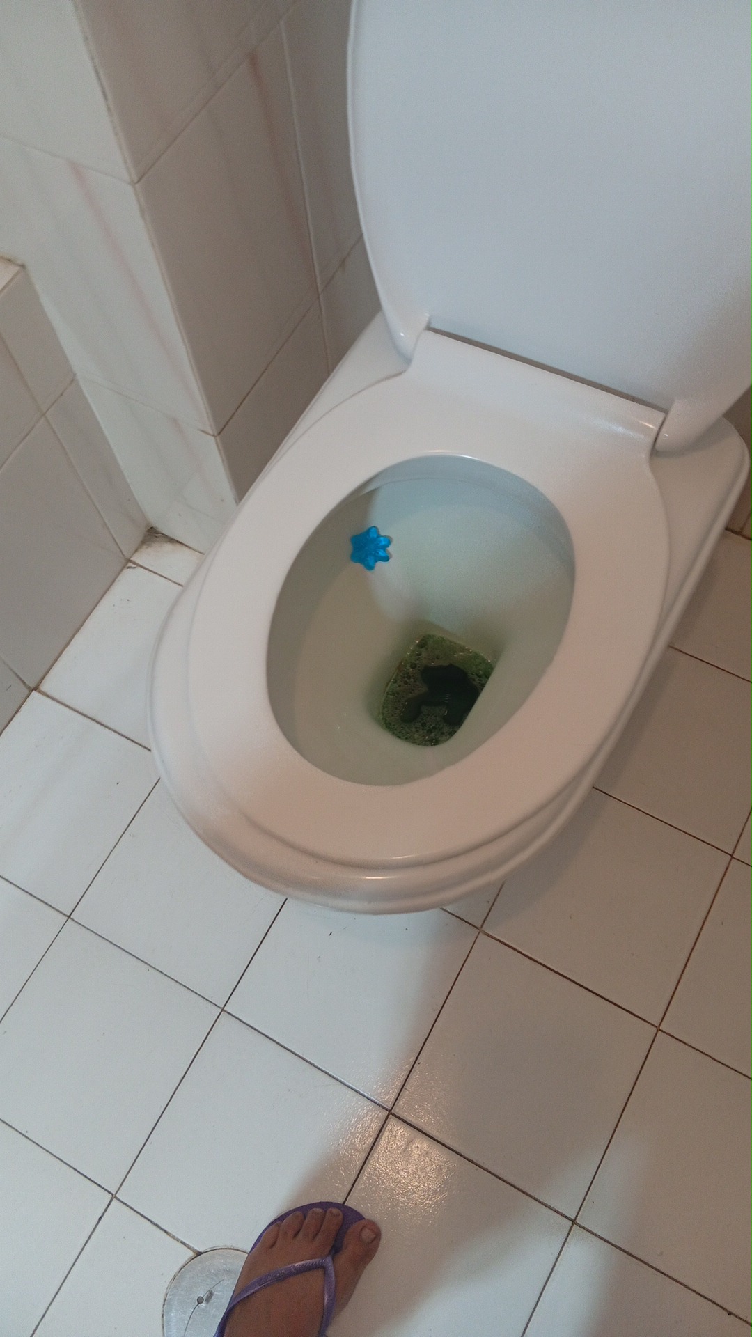 Isa - Silves - Deep or Spring Cleaning
