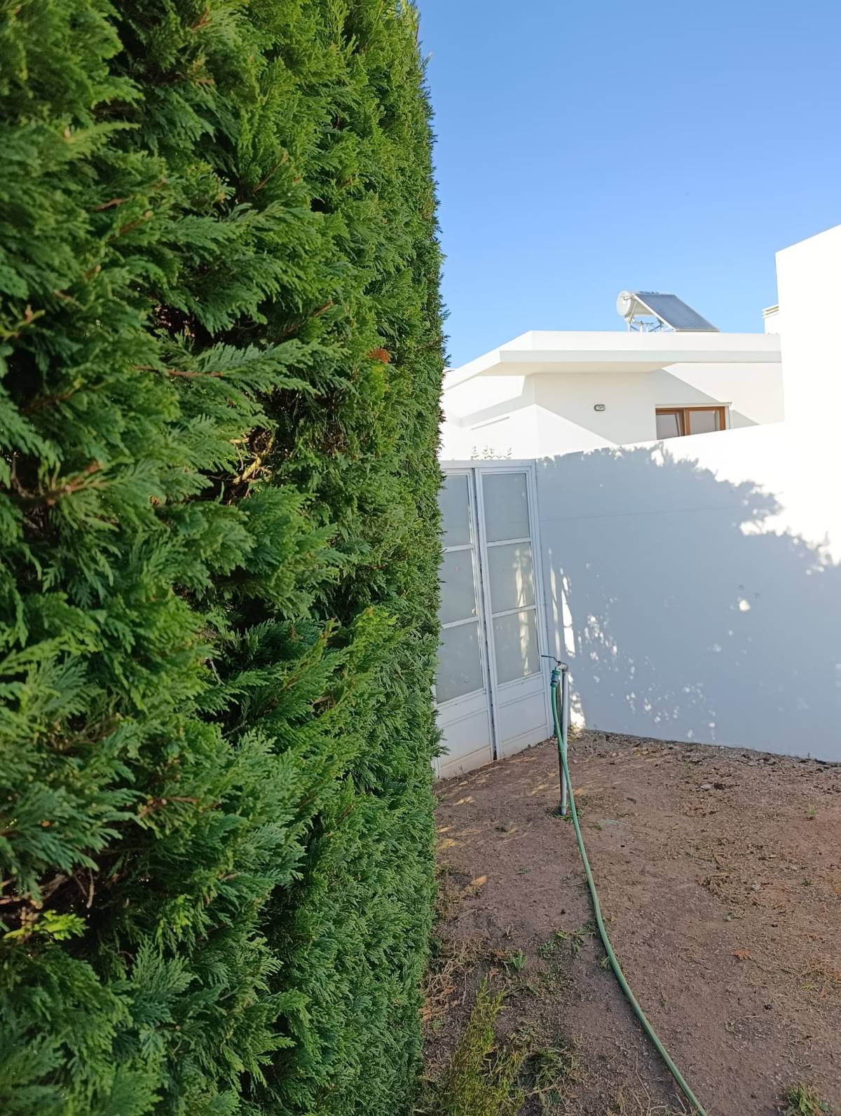 S&F Jardinagem 🌱🌿 - Torres Vedras - Colocación de rocas