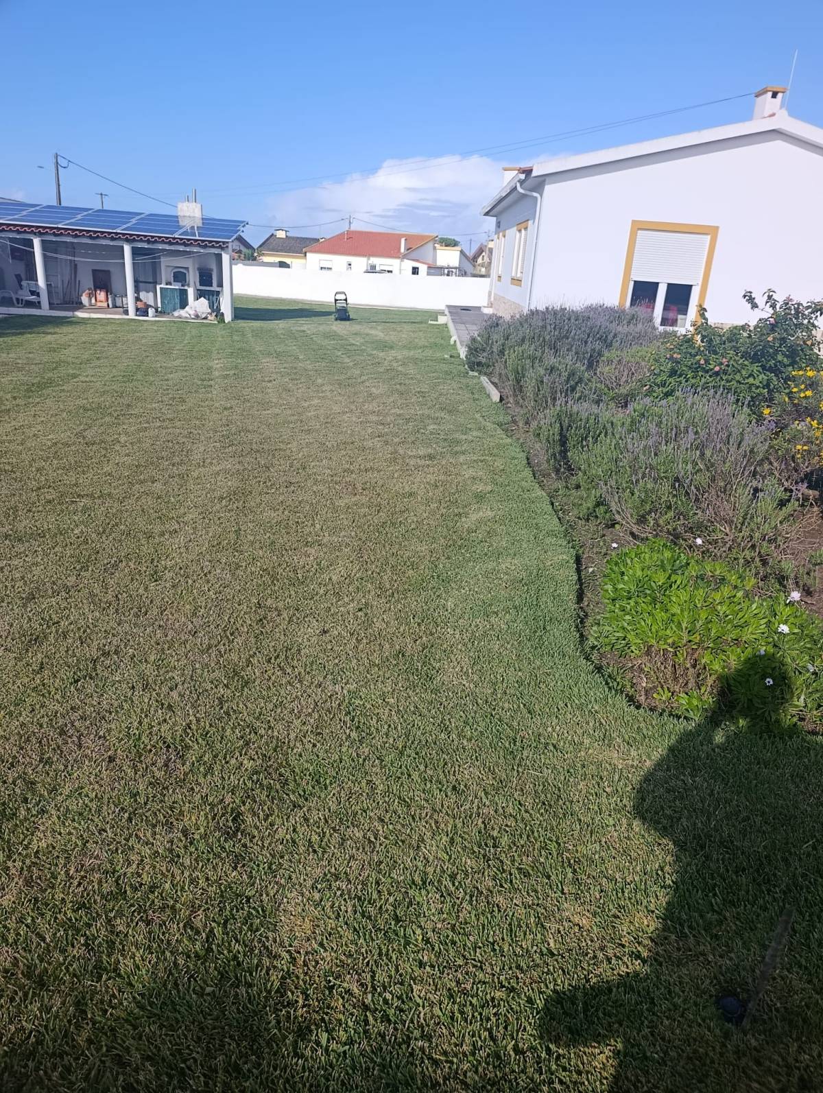 S&F Jardinagem 🌱🌿 - Torres Vedras - Cortar y podar el césped