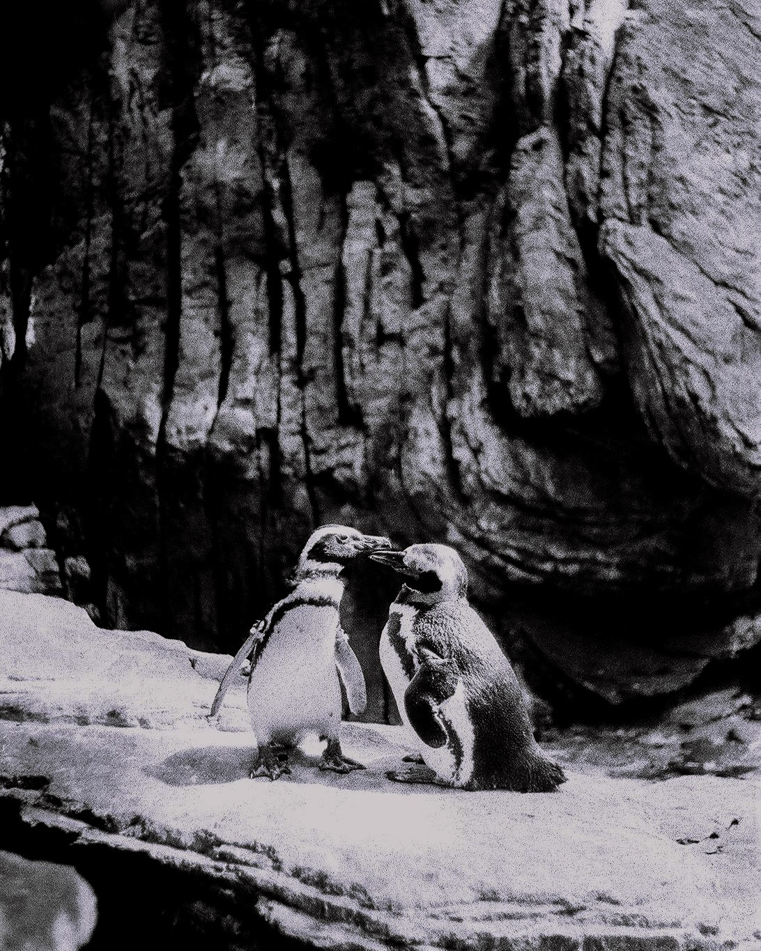 Alexandre Pereira - Matosinhos - Fotografia de Bebés