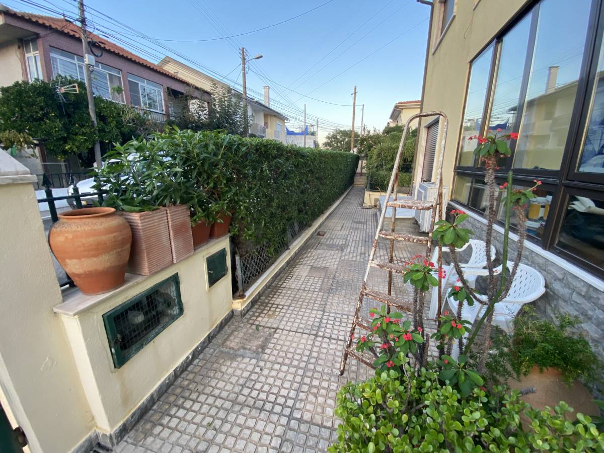 Terra e Folha Jardinagem - Loures - Shrub Removal