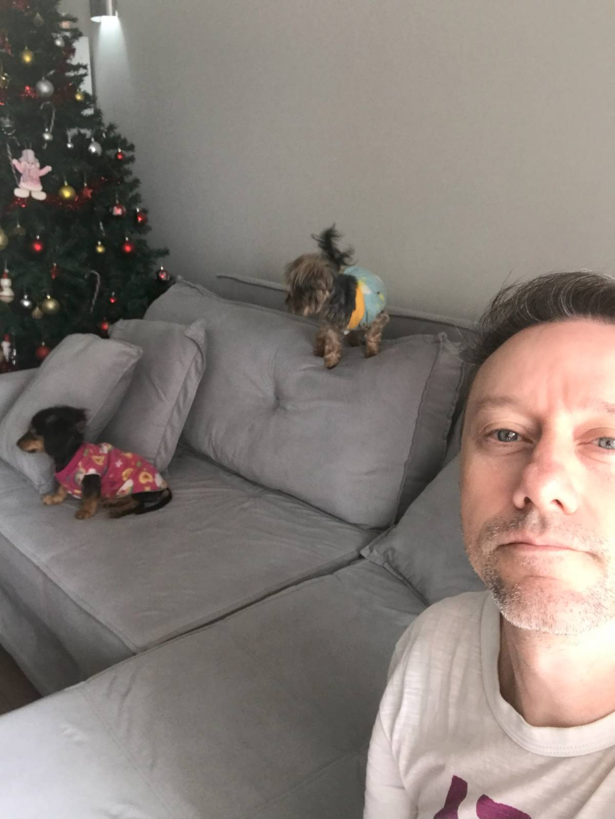 Guto Romano - Braga - Dog Sitting