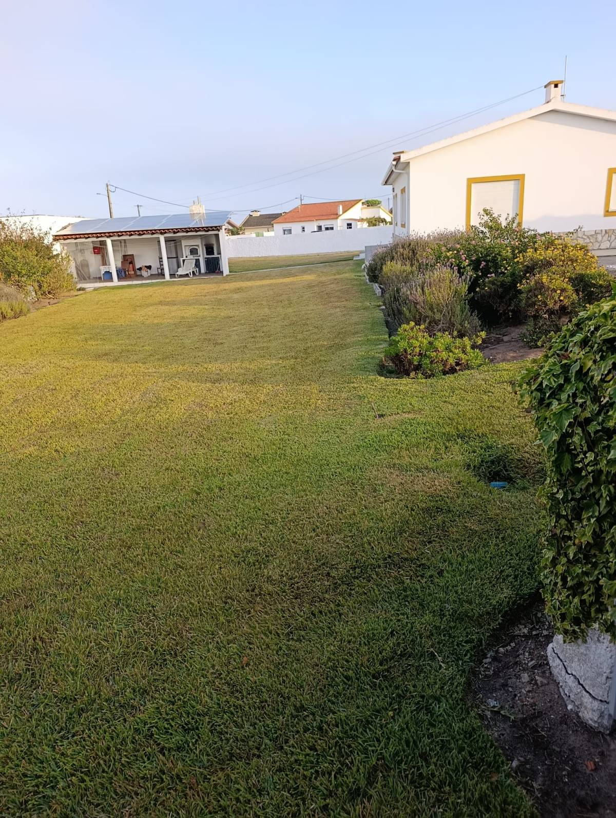 S&F Jardinagem 🌱🌿 - Torres Vedras - Trituración y eliminación de tocones