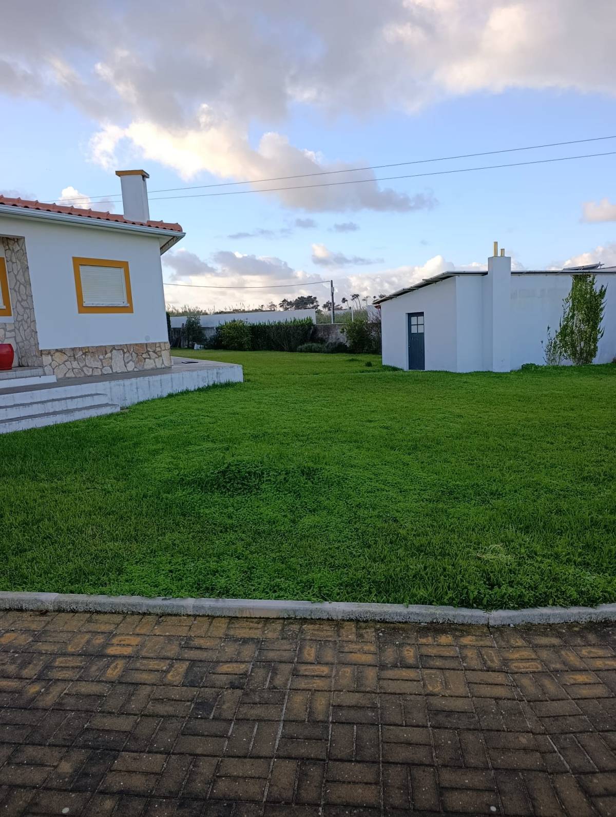 S&F Jardinagem 🌱🌿 - Torres Vedras - Deshierbo