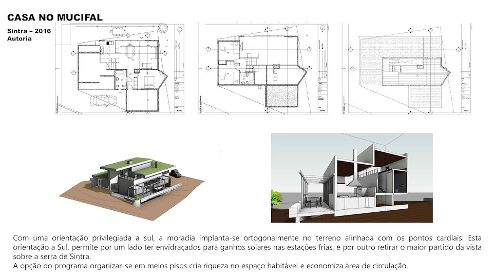 Filipe Cristóvão, arquiteto - Cascais - Remoção de Tronco de Árvore