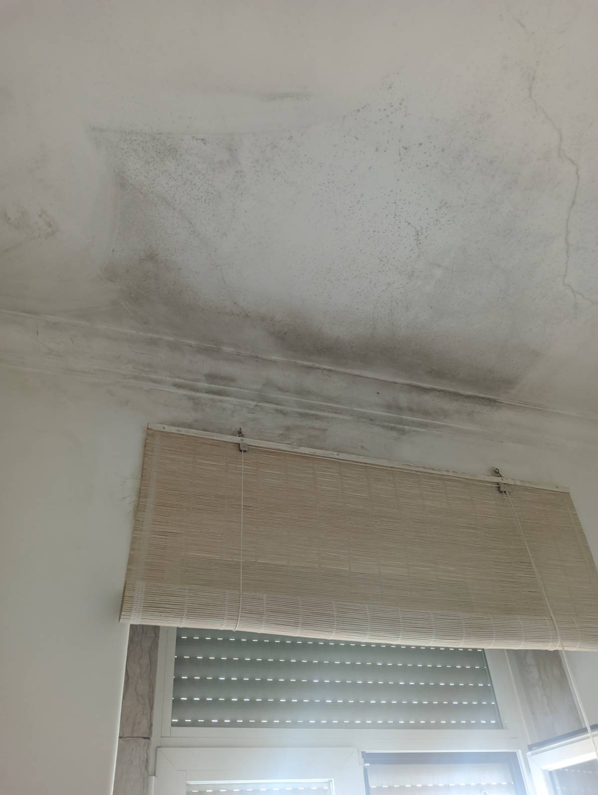 Edna Pires - Amadora - Limpeza da Casa (Recorrente)