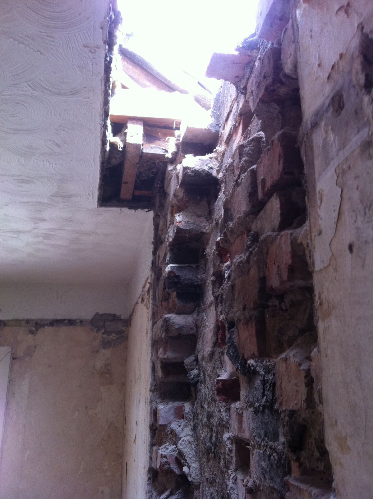 Carlos Diego Sifuente Rodrigues - Leiria - Home Waterproofing