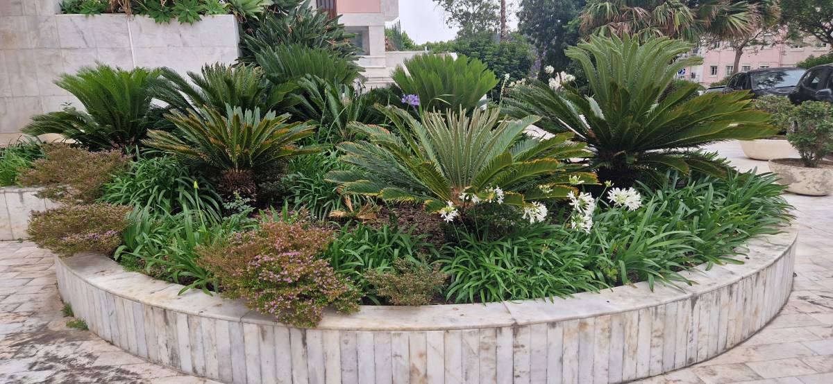 Dom Jardinagem - Loures - Corte e Aparação de Relvado